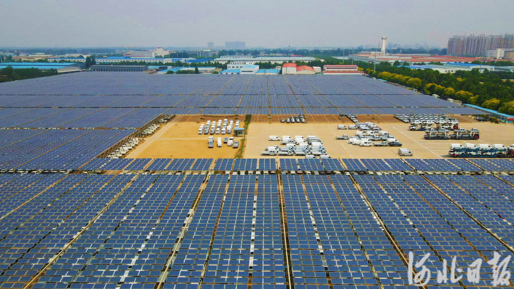 1684932981432_646e09753f35af0f8547b572.jpg 1684932981432_646e09753f35af0f8547b572.jpg