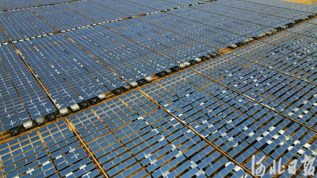 1684932980958_646e09743f35af0f8547b570.jpg 1684932980958_646e09743f35af0f8547b570.jpg