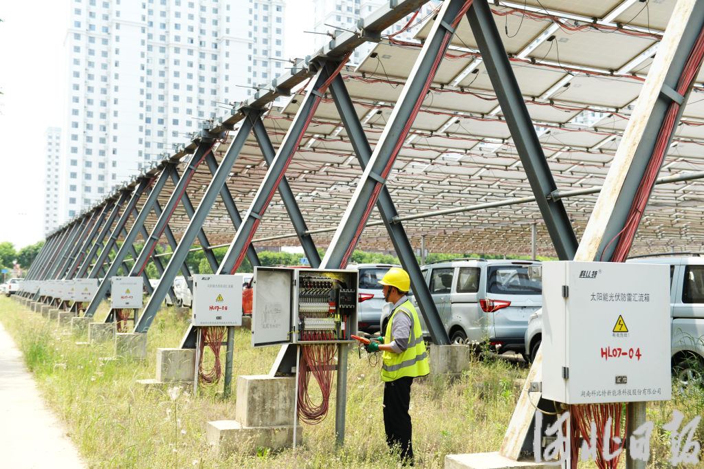 1684932980857_646e09743f35af0f8547b56f.jpg 1684932980857_646e09743f35af0f8547b56f.jpg